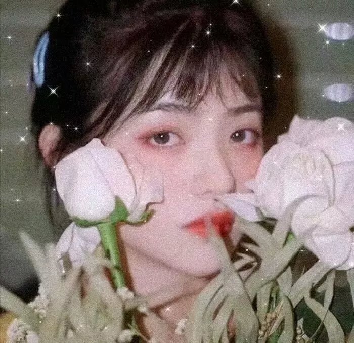 万古流芳 封面