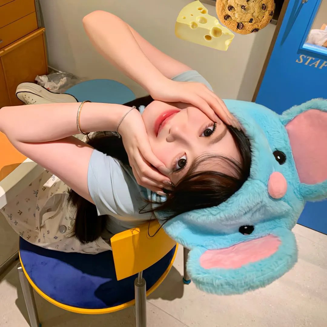 灼灼韶华 封面